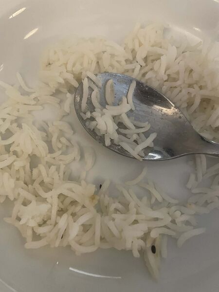 File:Jeera rice close up day after.jpg